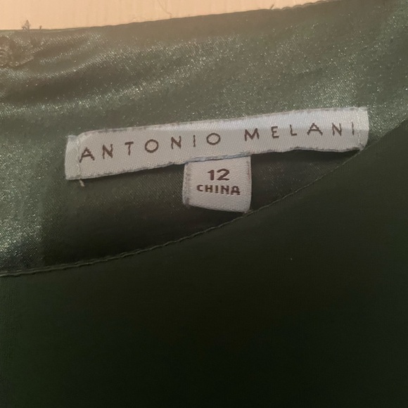 Antonio Melani Hunter Green dress. Size 12. - Picture 3 of 3